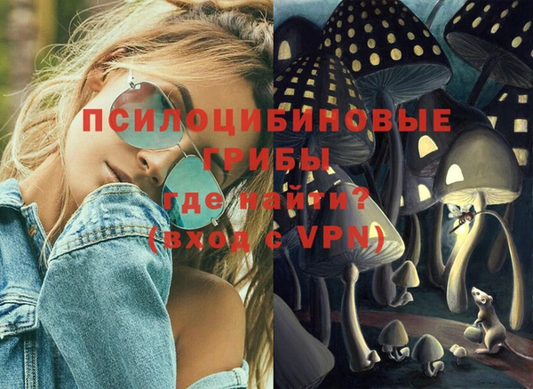 прущие грибы Арсеньев