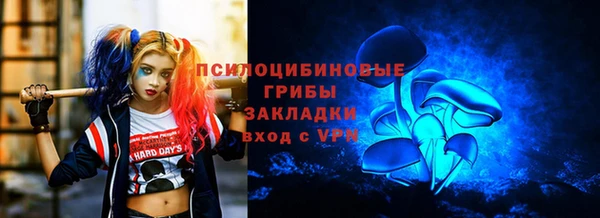 гидропоника Аркадак
