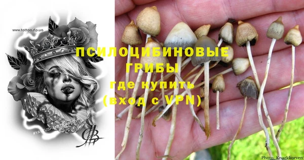 прущие грибы Арсеньев