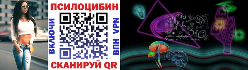 Псилоцибиновые грибы Psilocybe  Починок 