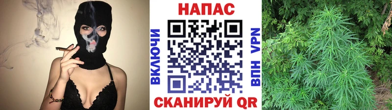 купить   Починок  Бошки марихуана MAZAR 